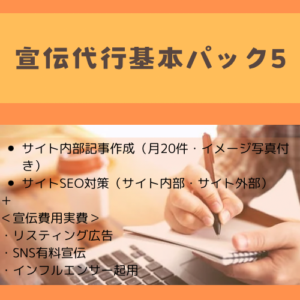 宣伝代行パック5